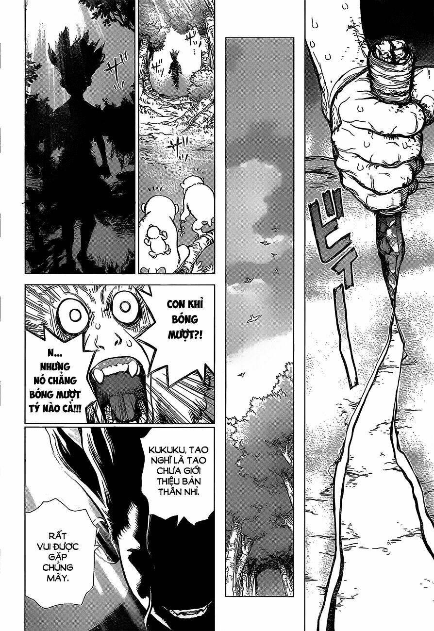 Dr.stone - Hồi Sinh Thế Giới: Chapter 13