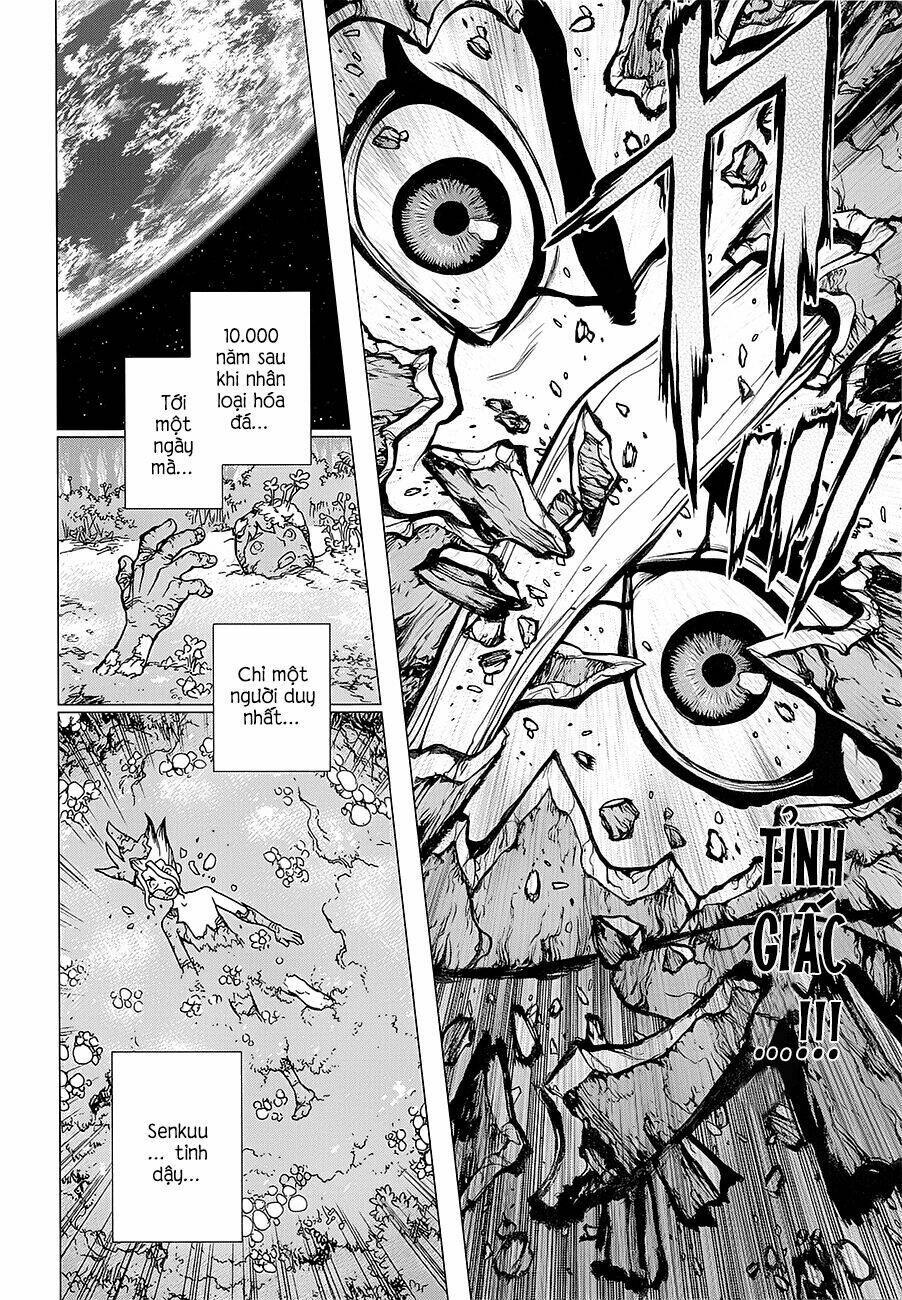 Dr.stone - Hồi Sinh Thế Giới: Chapter 13