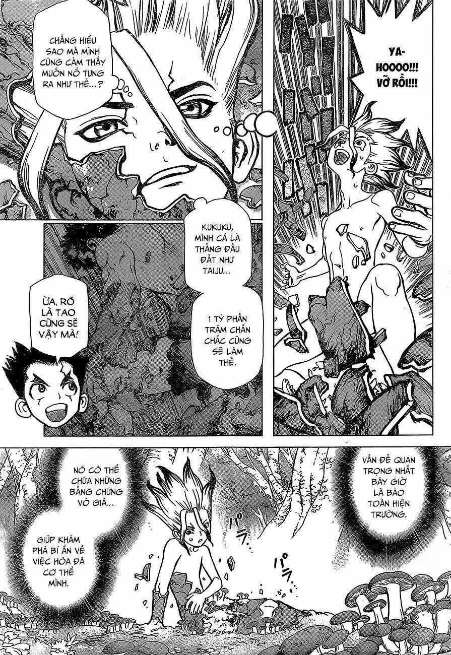 Dr.stone - Hồi Sinh Thế Giới: Chapter 13