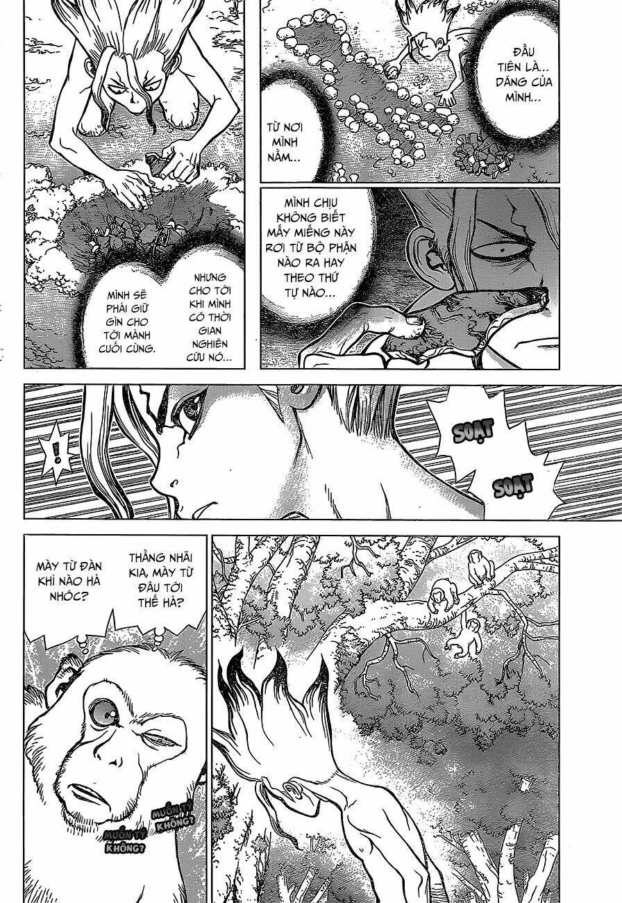 Dr.stone - Hồi Sinh Thế Giới: Chapter 13