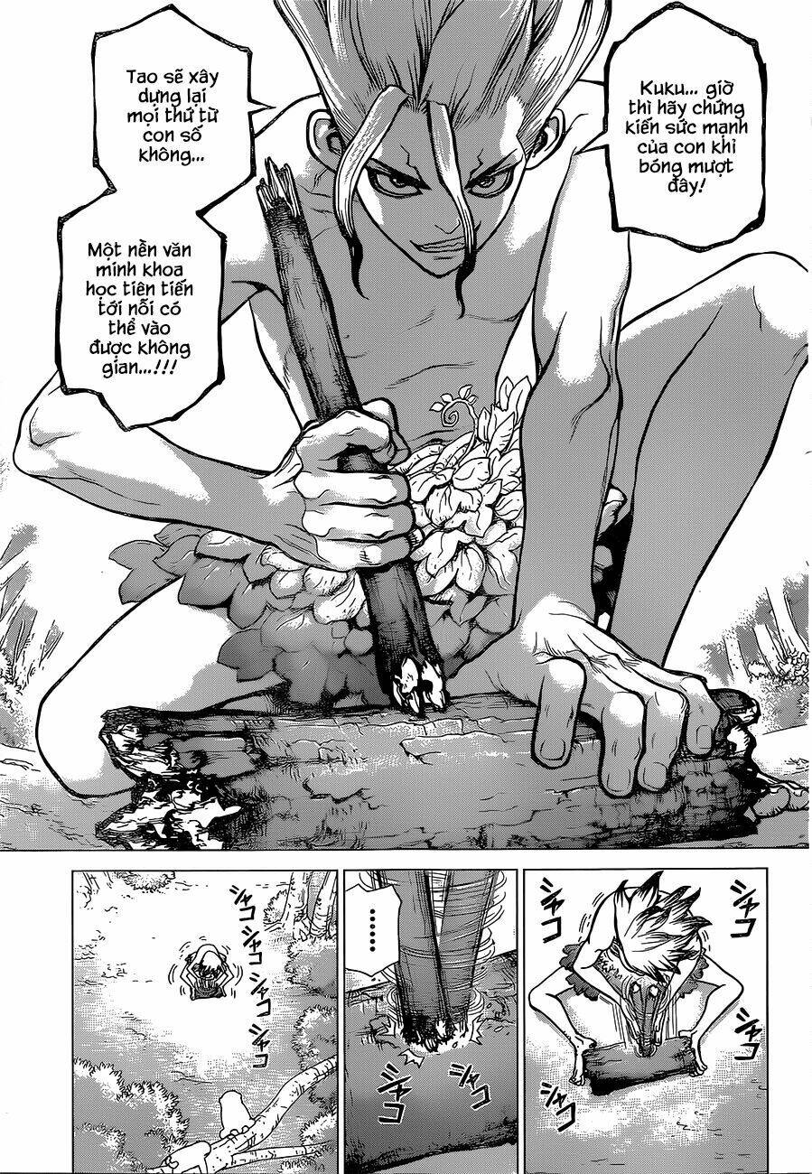 Dr.stone - Hồi Sinh Thế Giới: Chapter 13