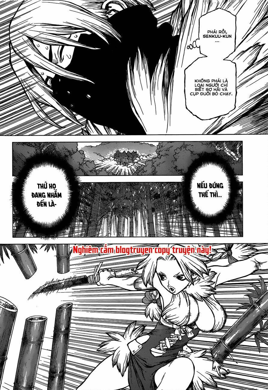 Dr.stone - Hồi Sinh Thế Giới: Chapter 132