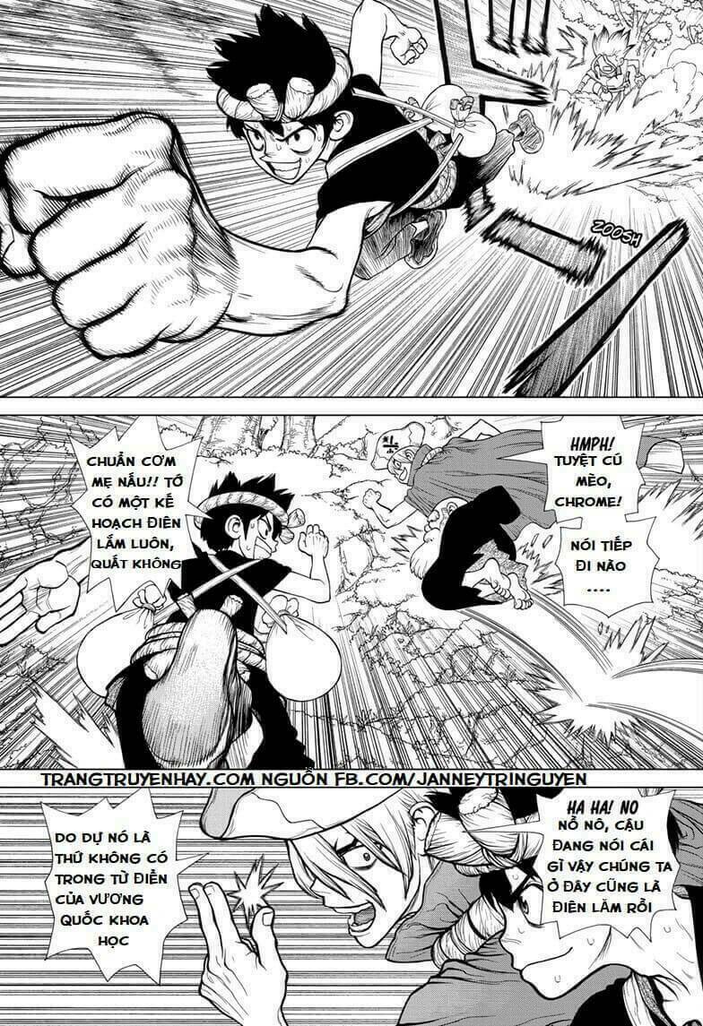 Dr.stone - Hồi Sinh Thế Giới: Chapter 133