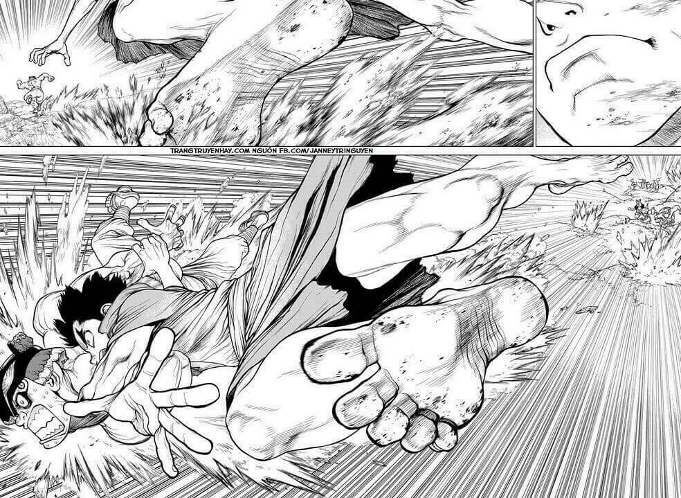Dr.stone - Hồi Sinh Thế Giới: Chapter 133