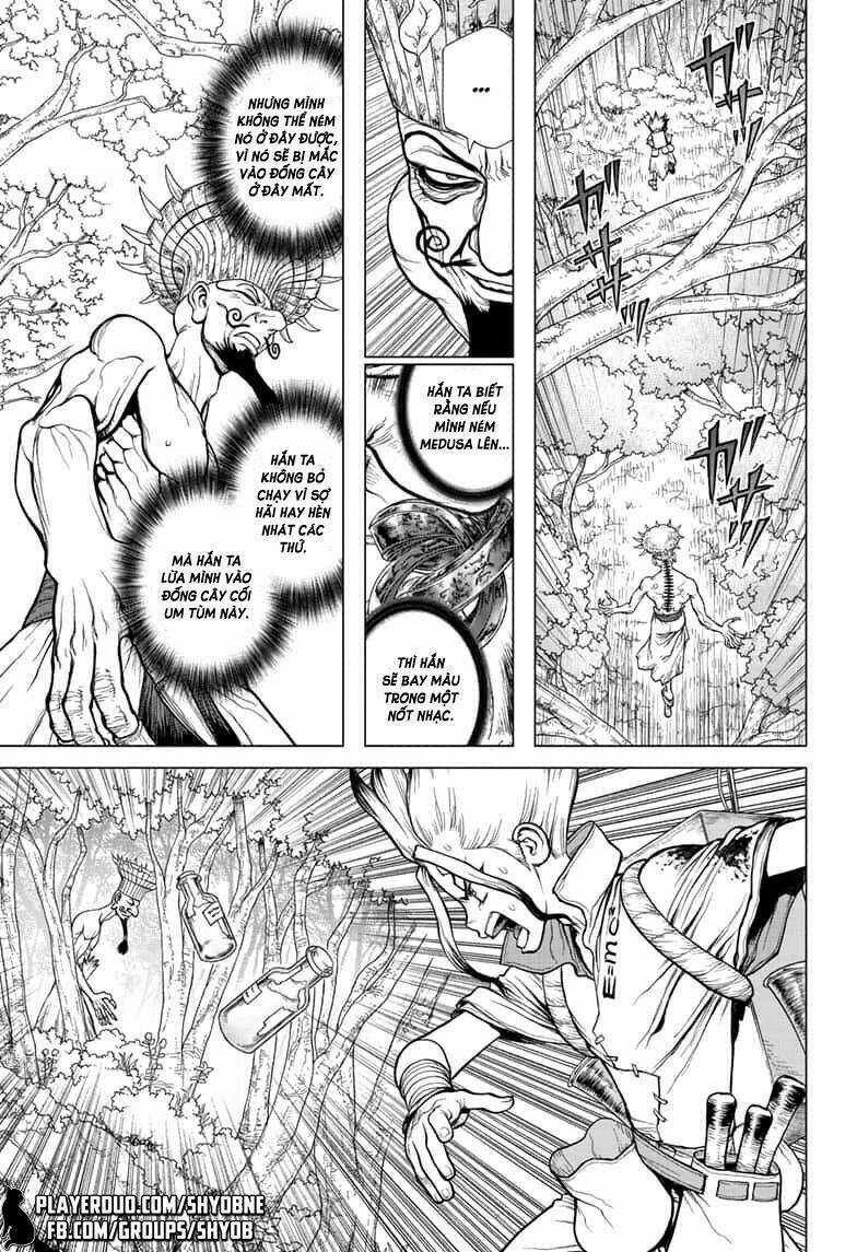 Dr.stone - Hồi Sinh Thế Giới: Chapter 136