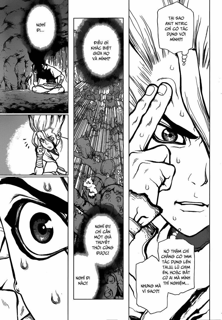 Dr.stone - Hồi Sinh Thế Giới: Chapter 14