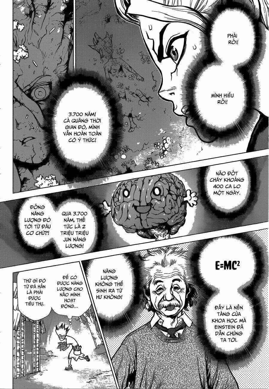 Dr.stone - Hồi Sinh Thế Giới: Chapter 14