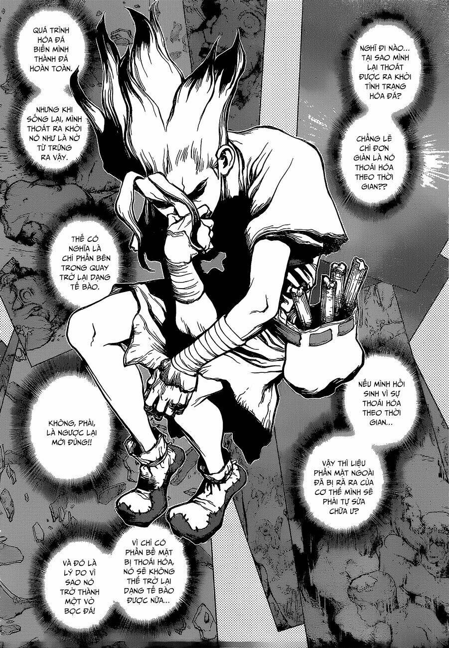 Dr.stone - Hồi Sinh Thế Giới: Chapter 14
