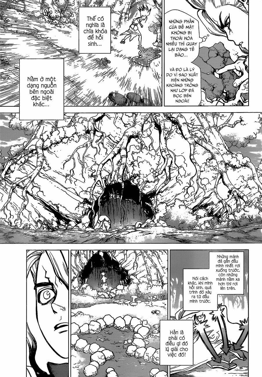 Dr.stone - Hồi Sinh Thế Giới: Chapter 14