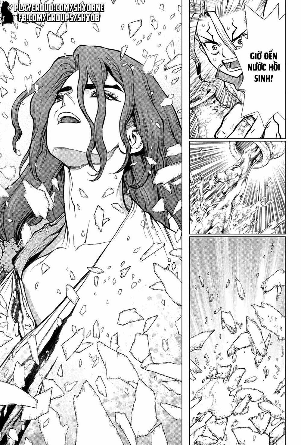 Dr.stone - Hồi Sinh Thế Giới: Chapter 141