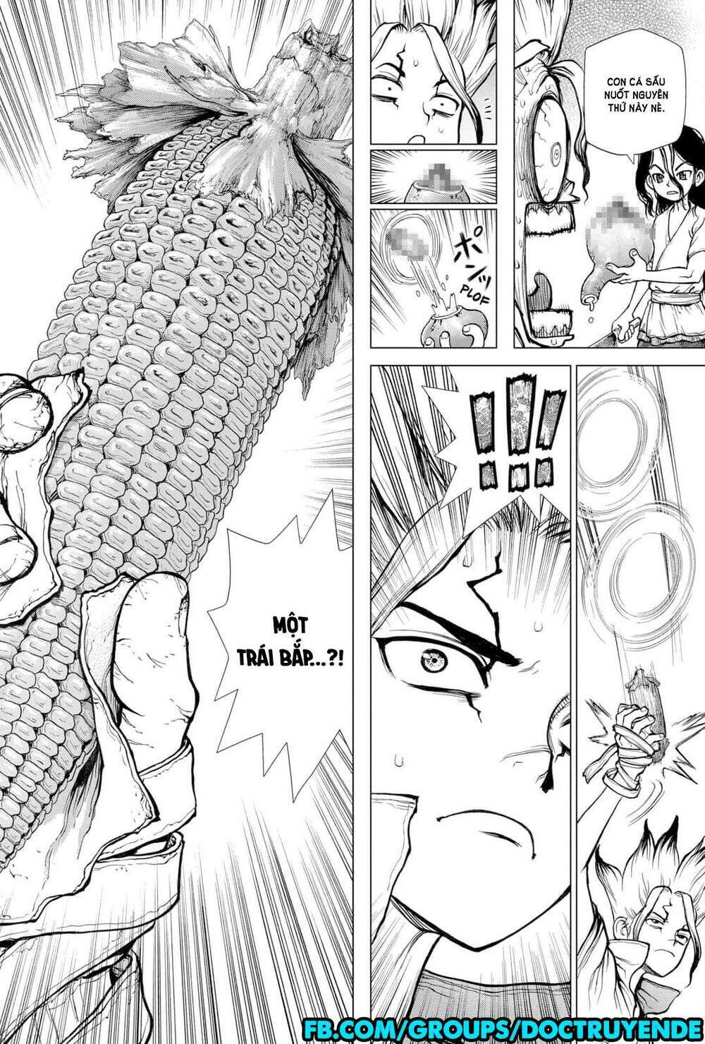 Dr.stone - Hồi Sinh Thế Giới: Chapter 148