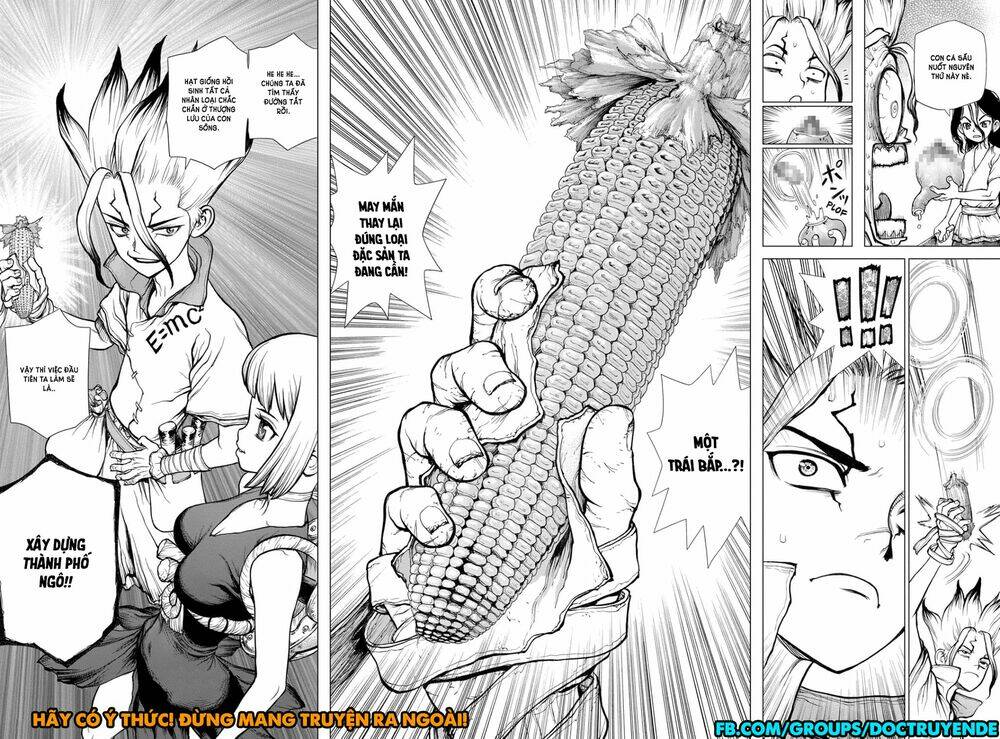 Dr.stone - Hồi Sinh Thế Giới: Chapter 148