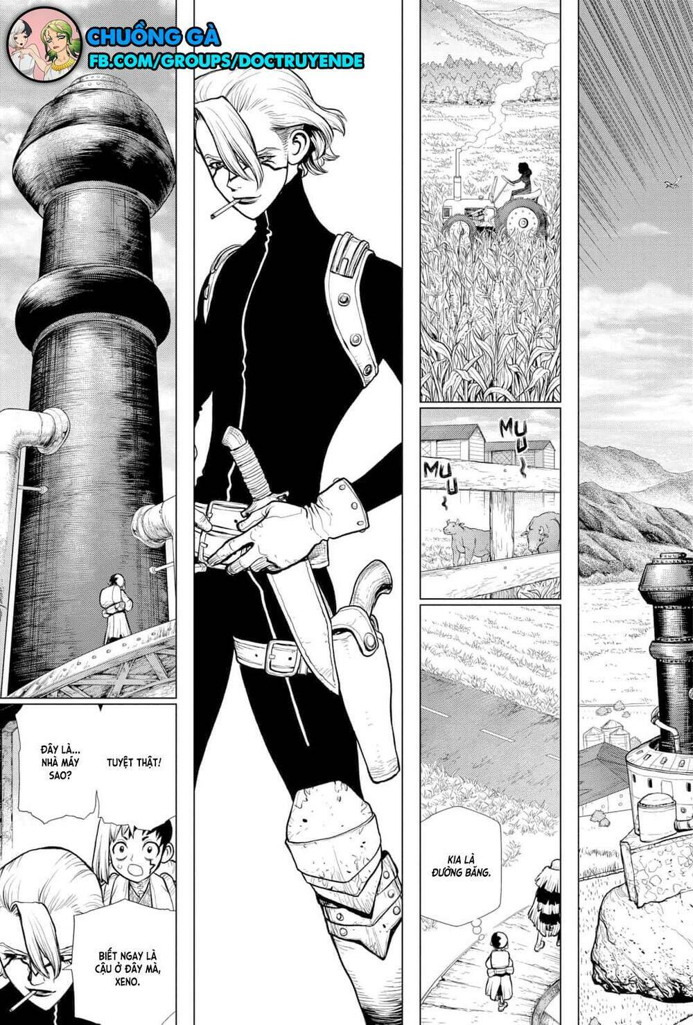 Dr.stone - Hồi Sinh Thế Giới: Chapter 151