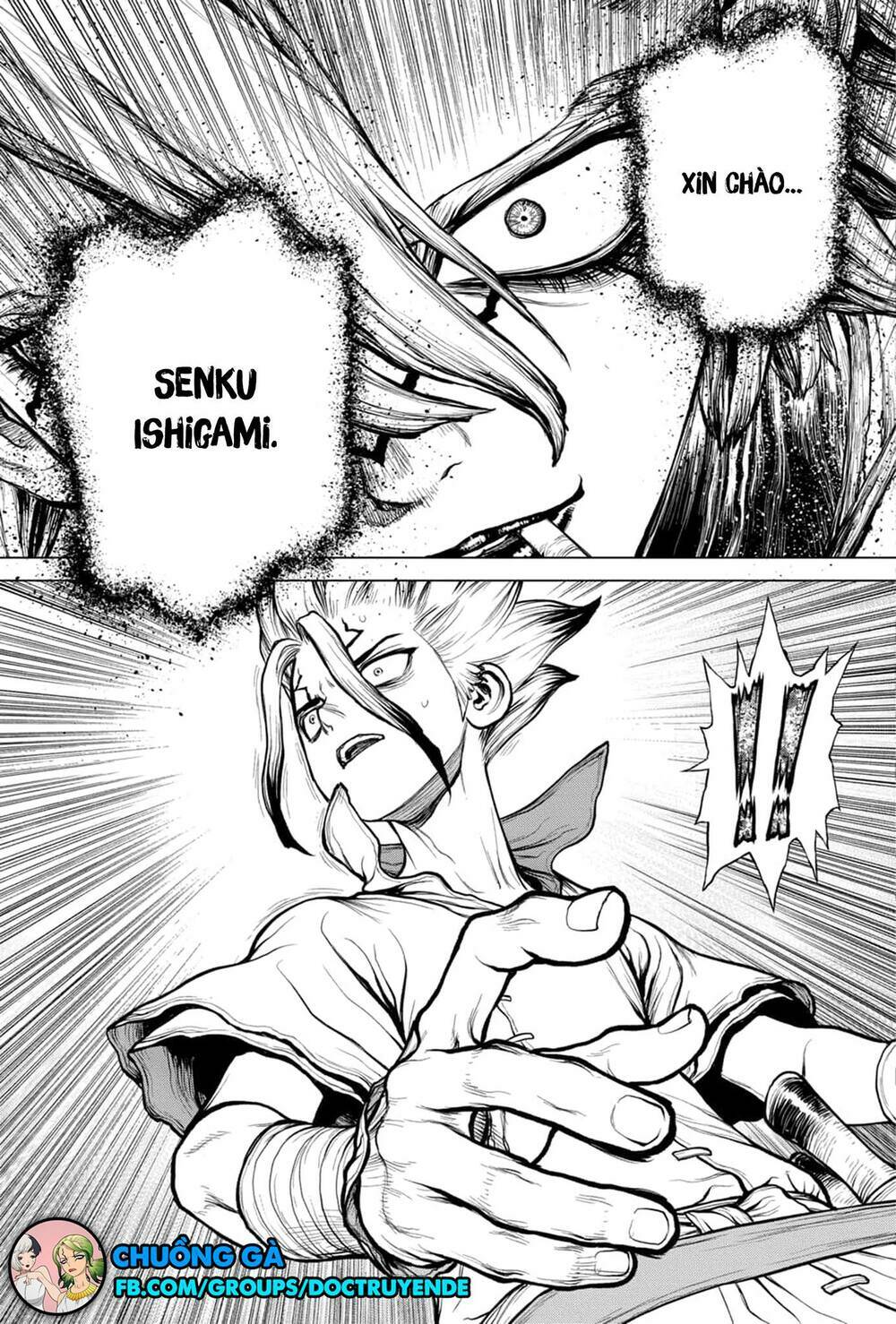 Dr.stone - Hồi Sinh Thế Giới: Chapter 159
