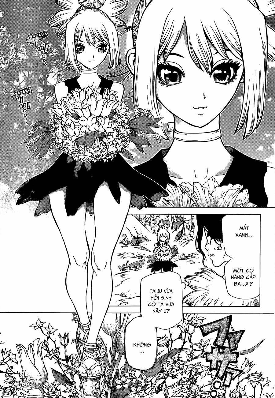 Dr.stone - Hồi Sinh Thế Giới: Chapter 16