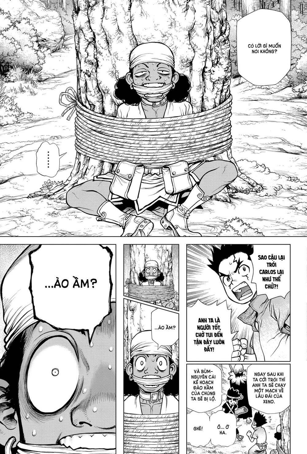 Dr.stone - Hồi Sinh Thế Giới: Chapter 162