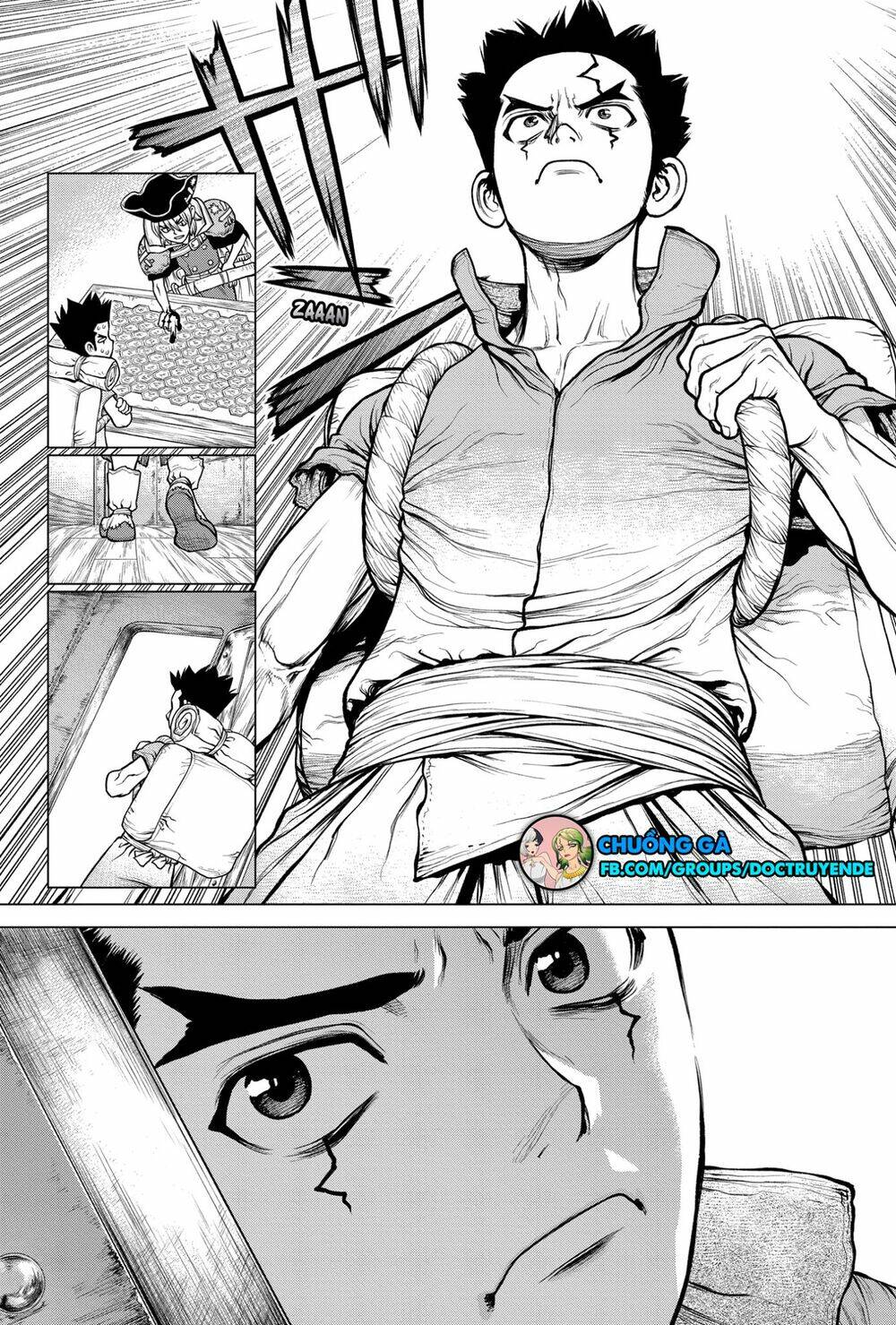Dr.stone - Hồi Sinh Thế Giới: Chapter 162