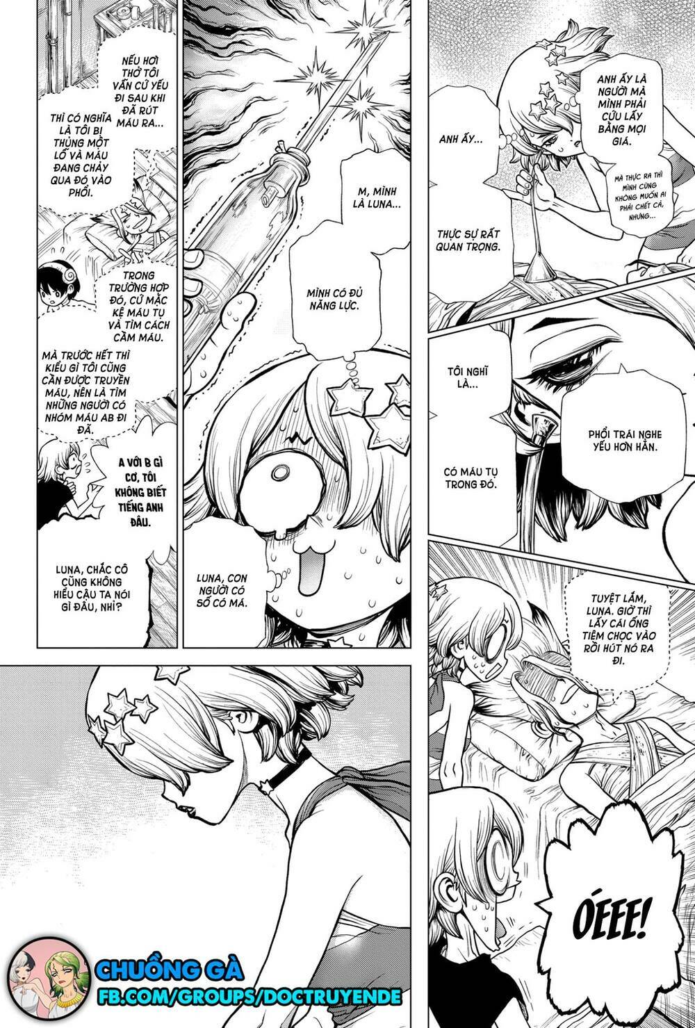 Dr.stone - Hồi Sinh Thế Giới: Chapter 163