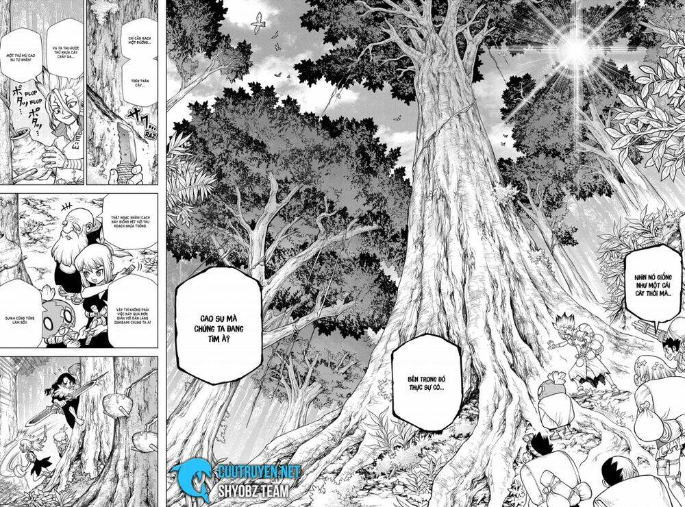 Dr.stone - Hồi Sinh Thế Giới: Chapter 174