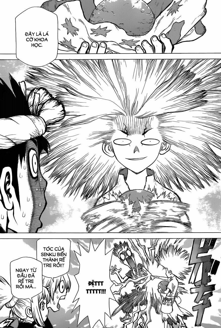 Dr.stone - Hồi Sinh Thế Giới: Chapter 18