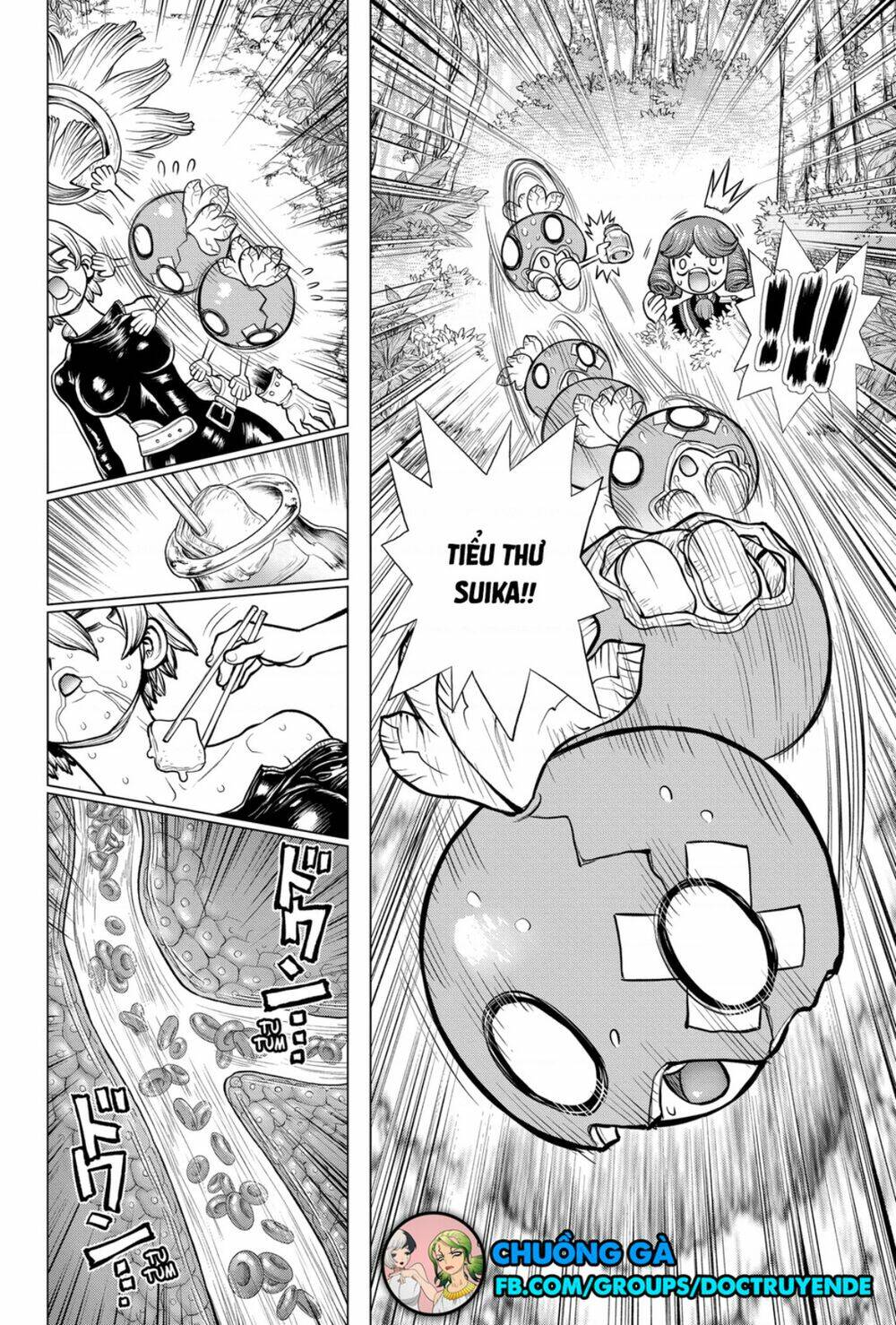 Dr.stone - Hồi Sinh Thế Giới: Chapter 185