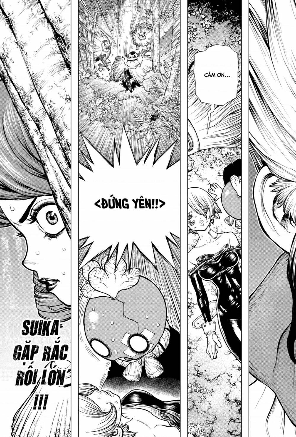 Dr.stone - Hồi Sinh Thế Giới: Chapter 185
