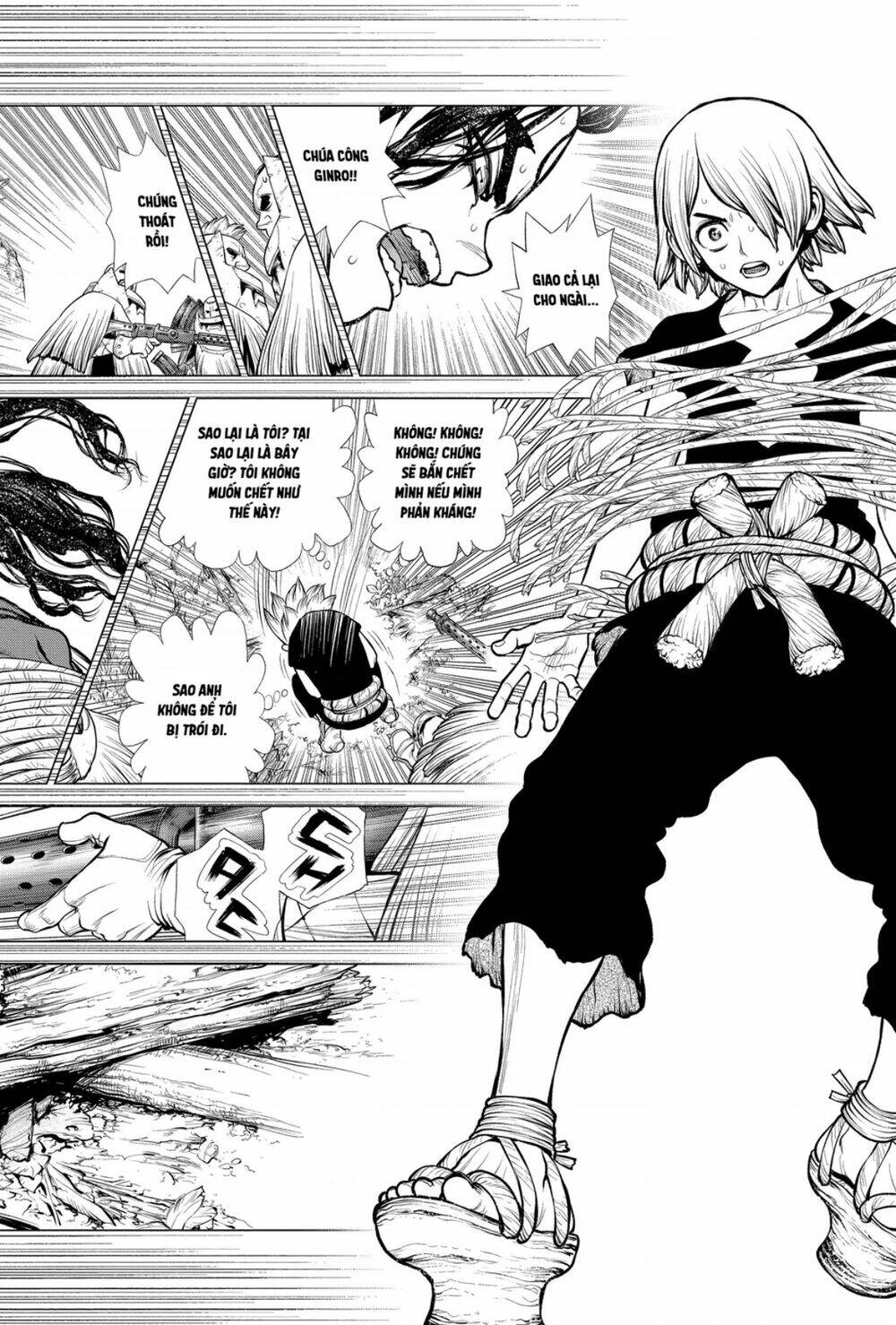 Dr.stone - Hồi Sinh Thế Giới: Chapter 186