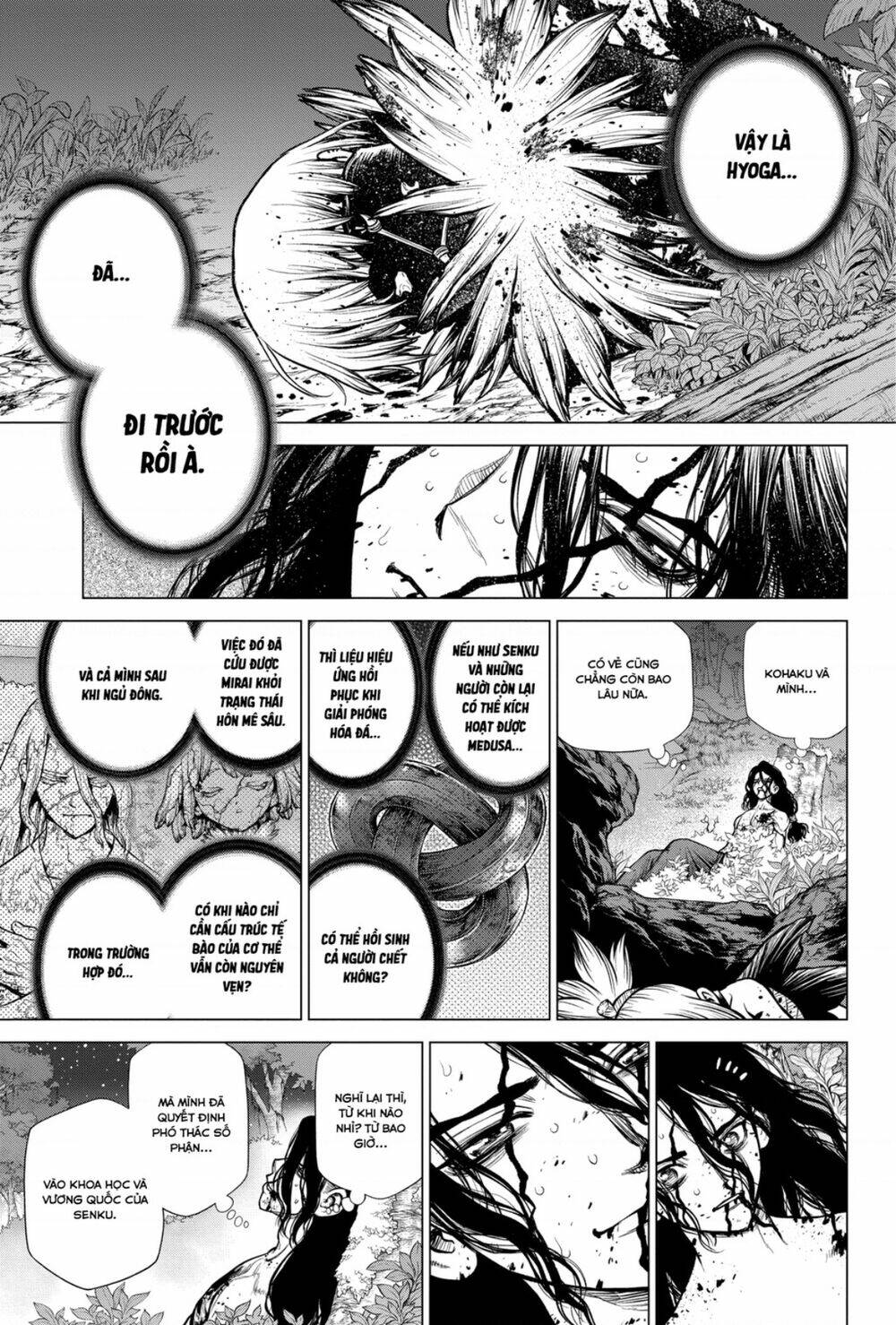 Dr.stone - Hồi Sinh Thế Giới: Chapter 188