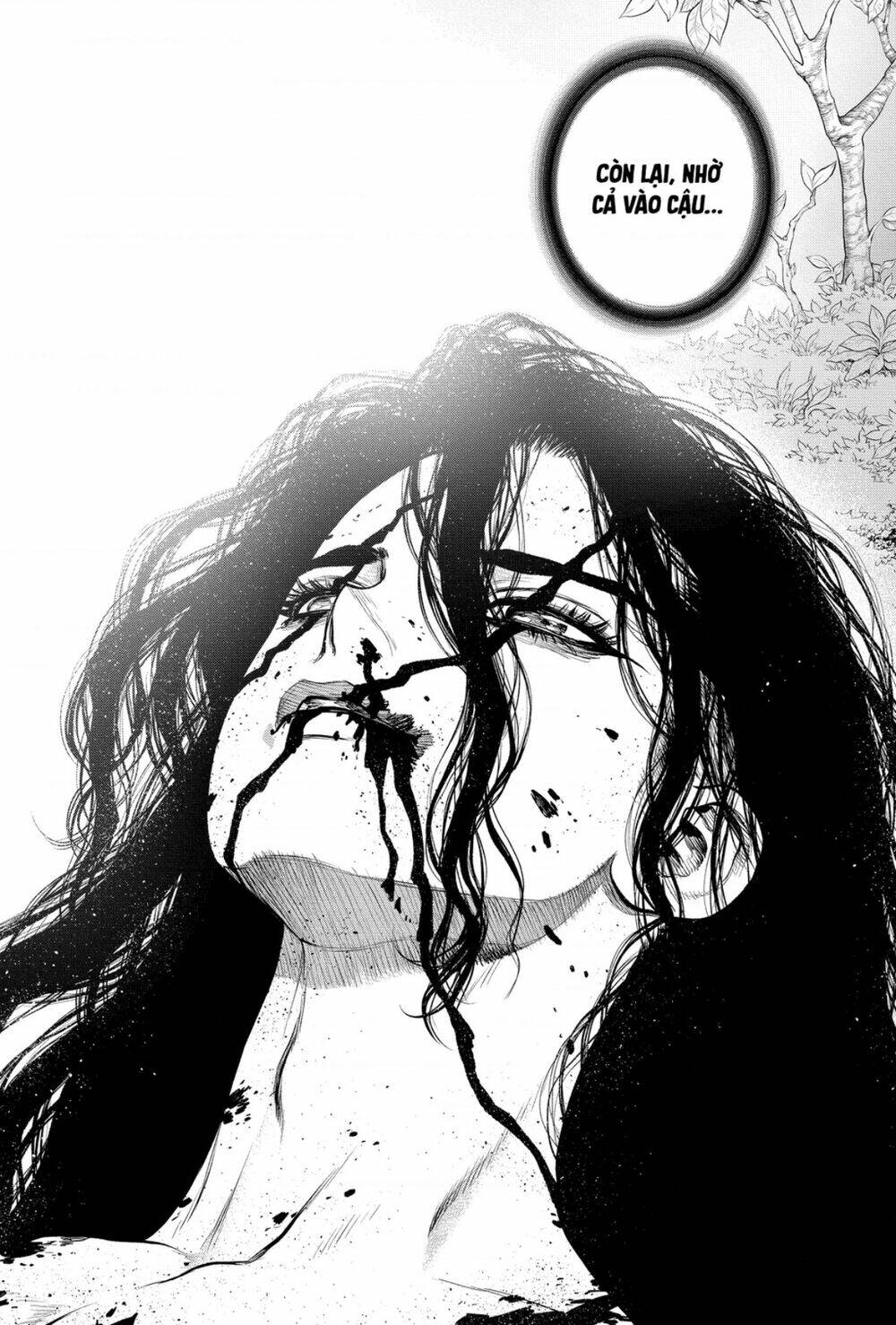 Dr.stone - Hồi Sinh Thế Giới: Chapter 188