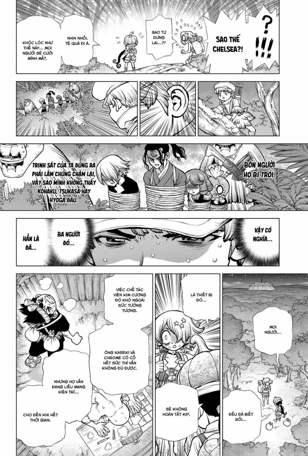 Dr.stone - Hồi Sinh Thế Giới: Chapter 189