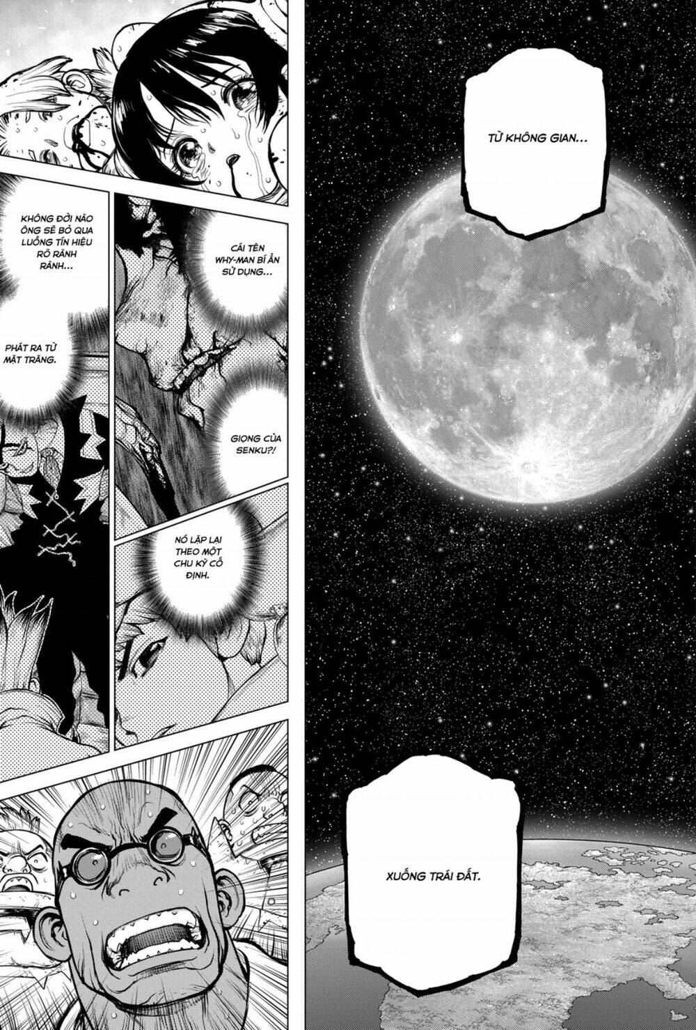 Dr.stone - Hồi Sinh Thế Giới: Chapter 191