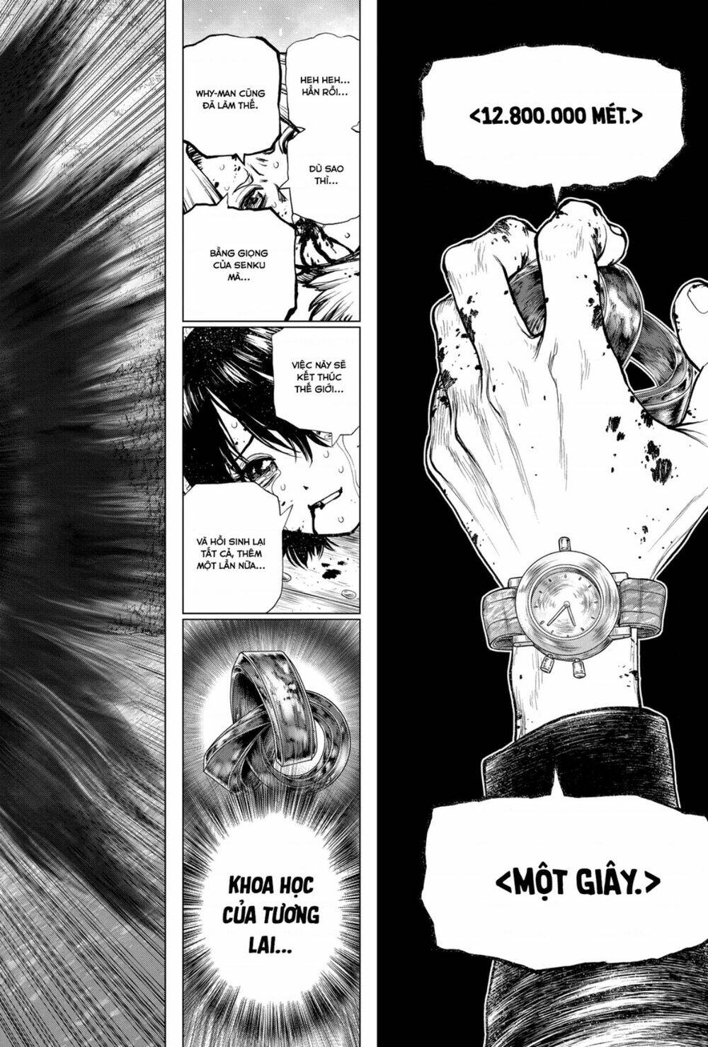 Dr.stone - Hồi Sinh Thế Giới: Chapter 191