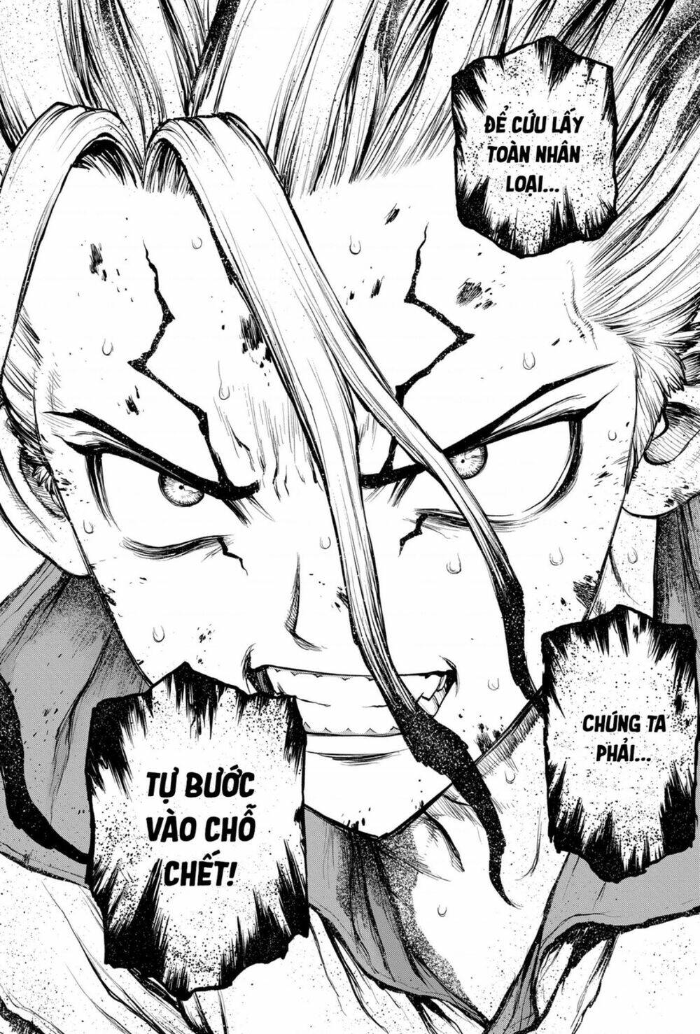 Dr.stone - Hồi Sinh Thế Giới: Chapter 191