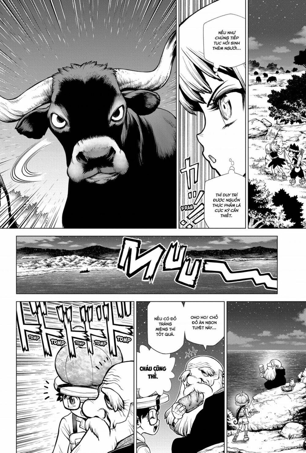 Dr.stone - Hồi Sinh Thế Giới: Chapter 202