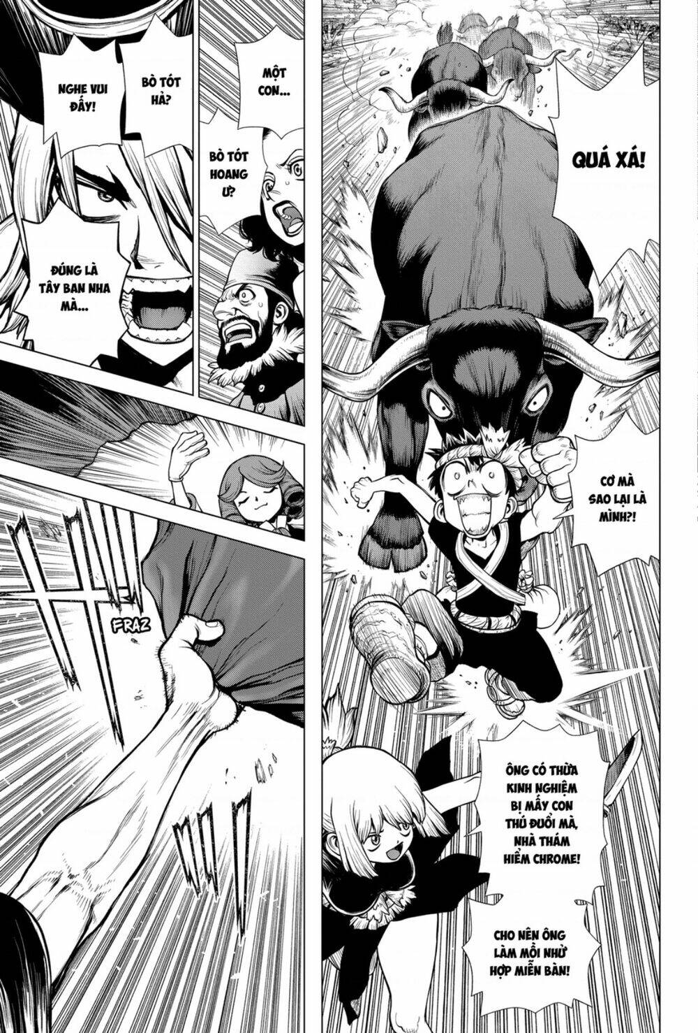 Dr.stone - Hồi Sinh Thế Giới: Chapter 202