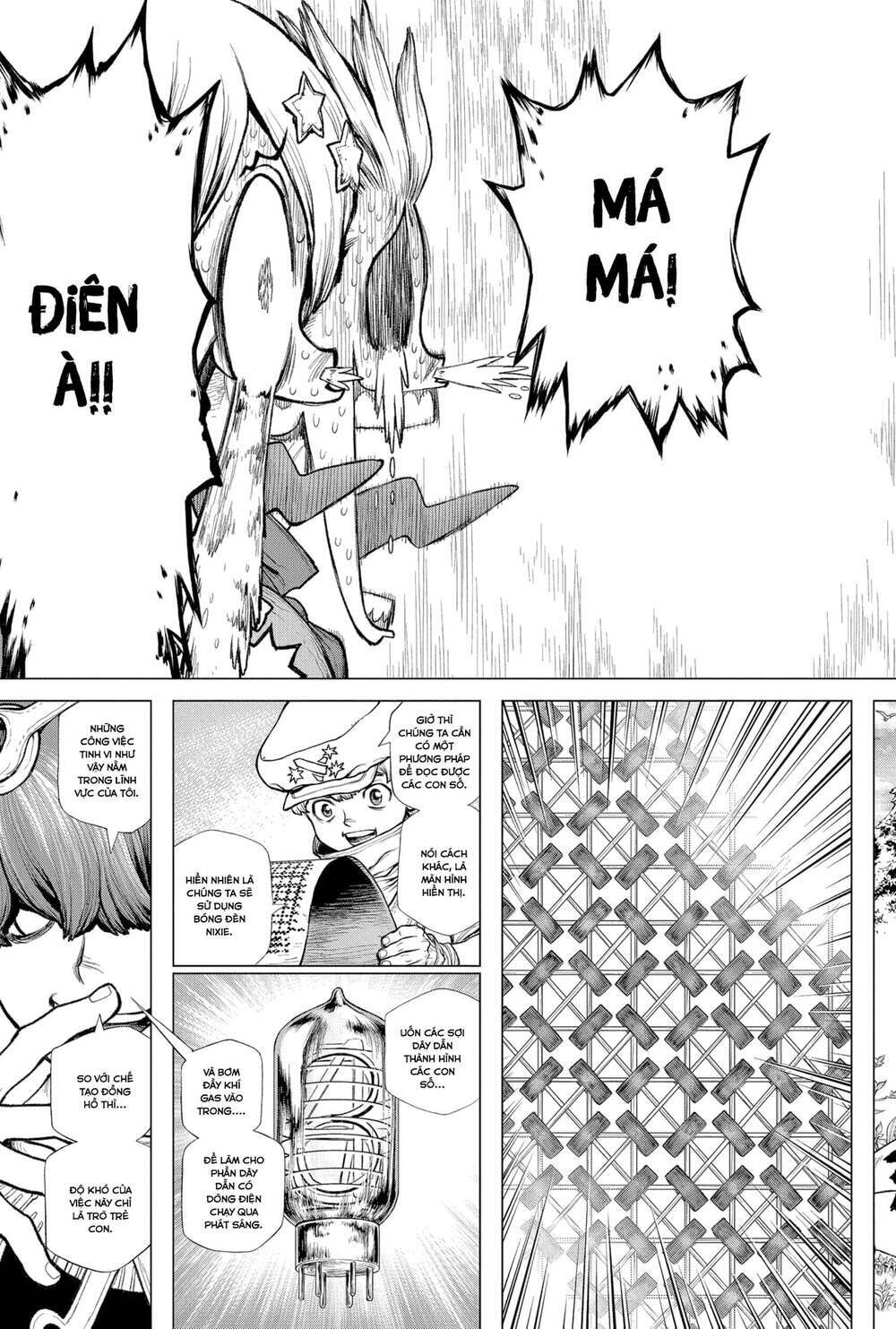 Dr.stone - Hồi Sinh Thế Giới: Chapter 208