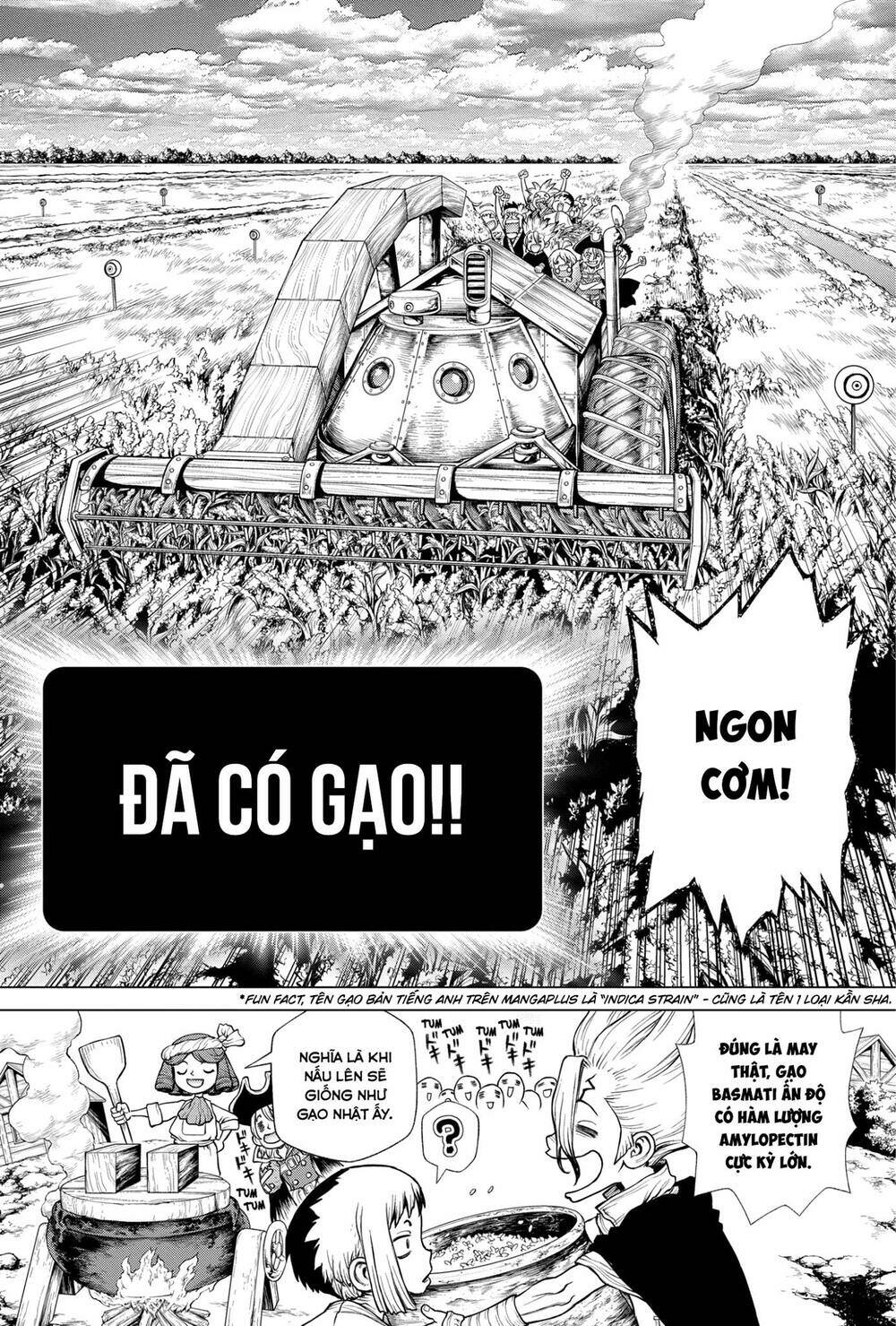 Dr.stone - Hồi Sinh Thế Giới: Chapter 211