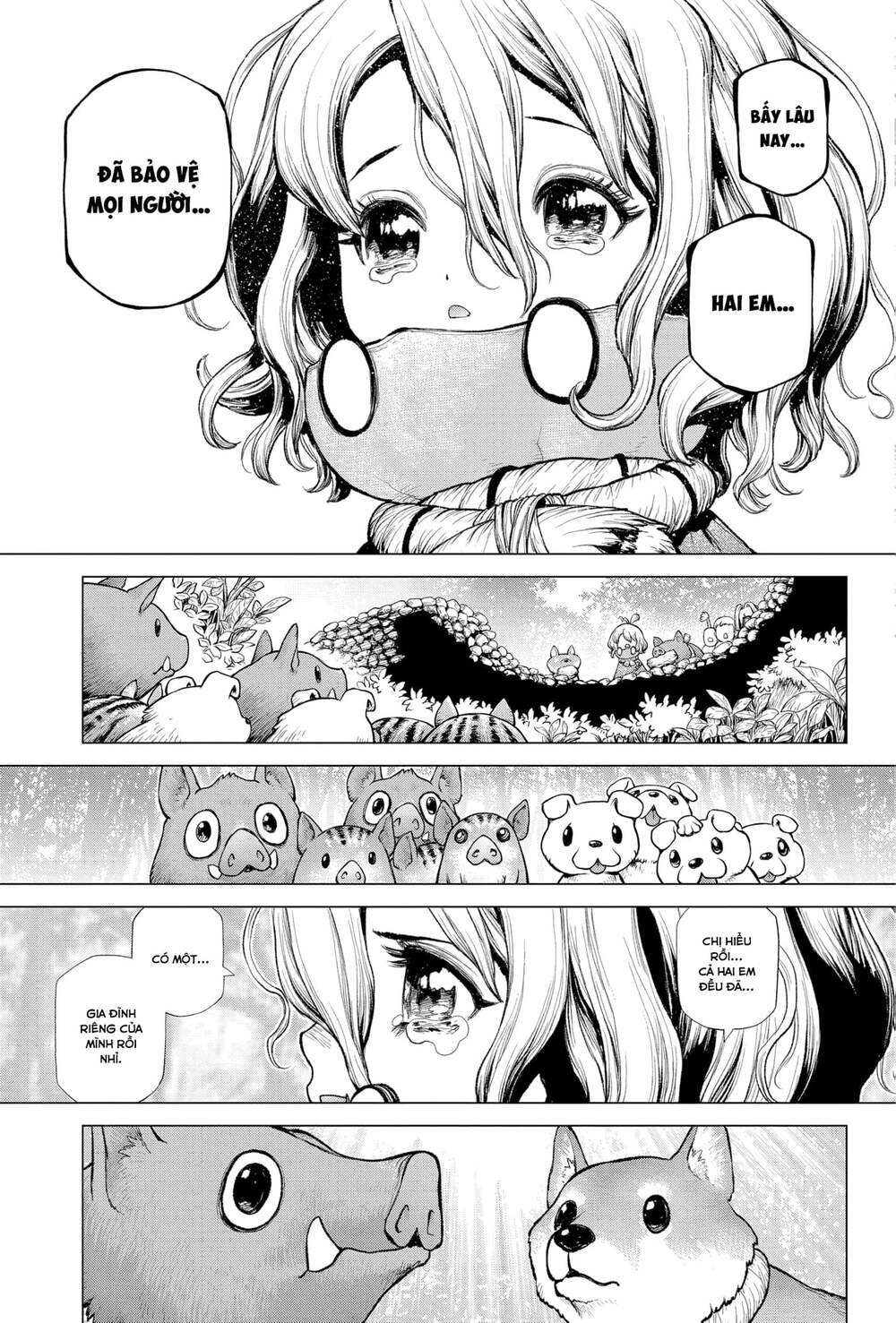 Dr.stone - Hồi Sinh Thế Giới: Chapter 212