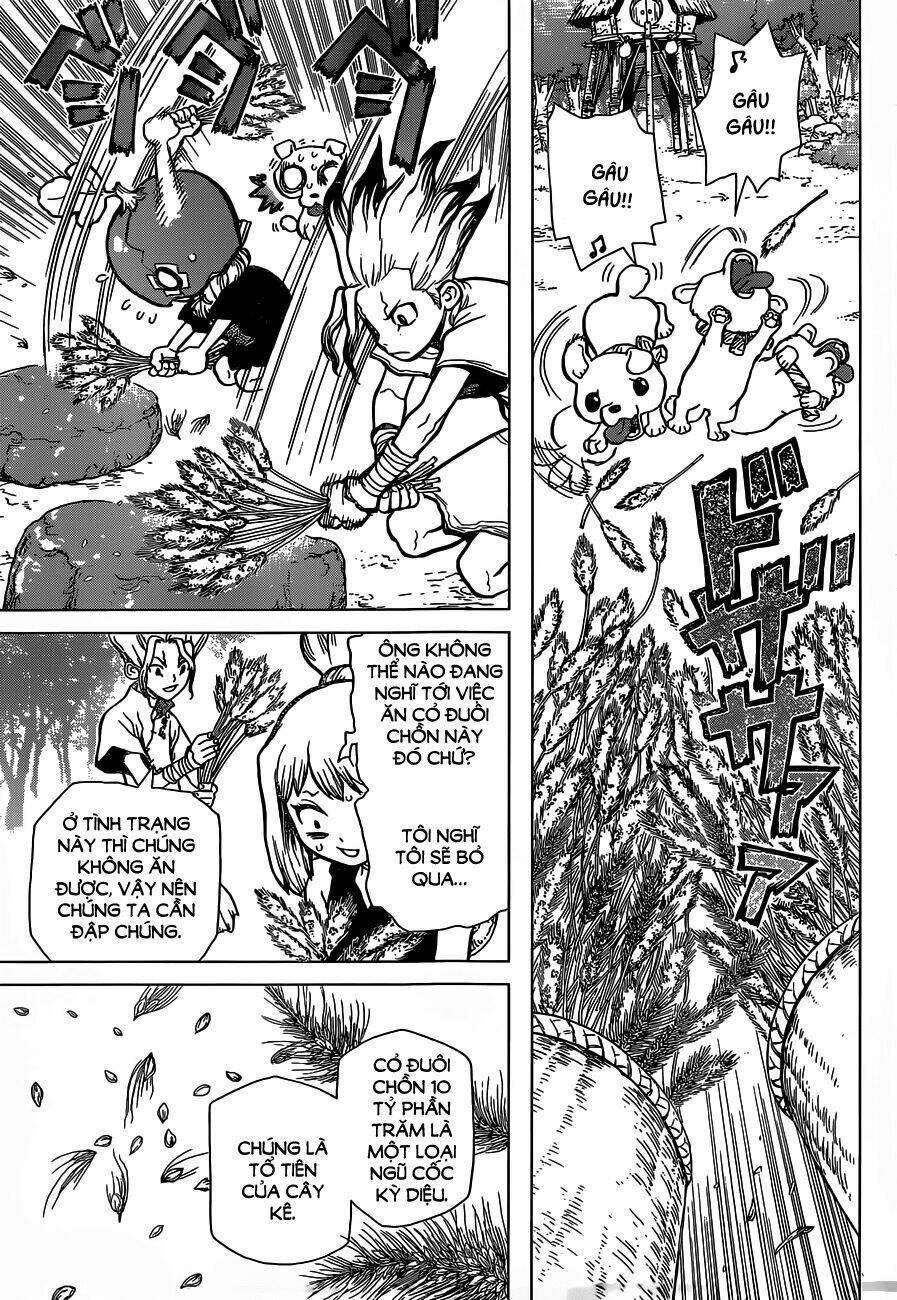 Dr.stone - Hồi Sinh Thế Giới: Chapter 22