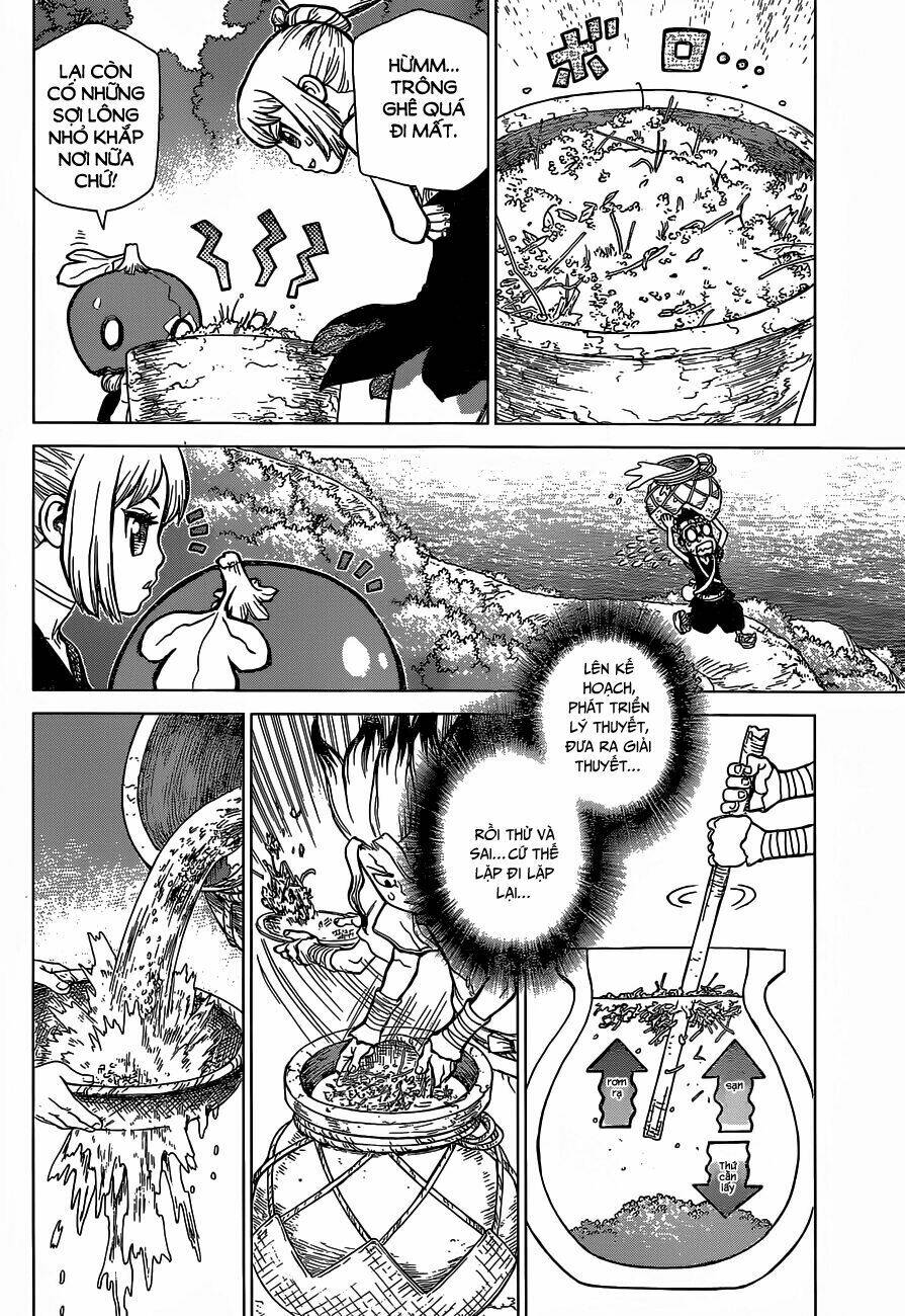Dr.stone - Hồi Sinh Thế Giới: Chapter 22