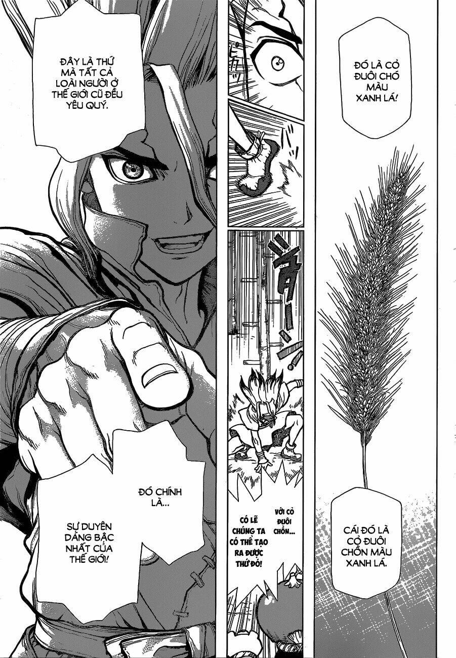 Dr.stone - Hồi Sinh Thế Giới: Chapter 22