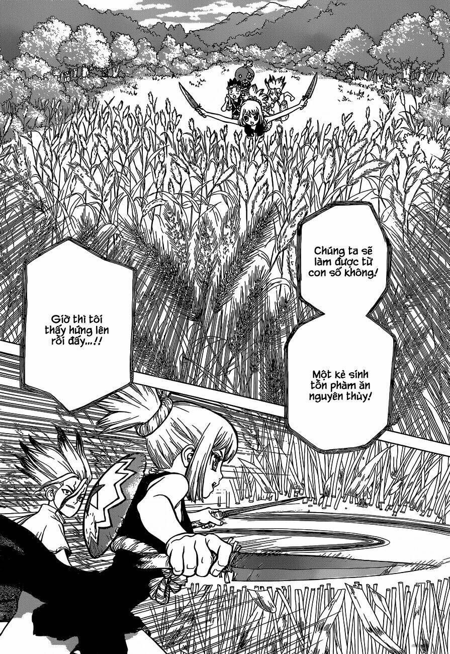 Dr.stone - Hồi Sinh Thế Giới: Chapter 22