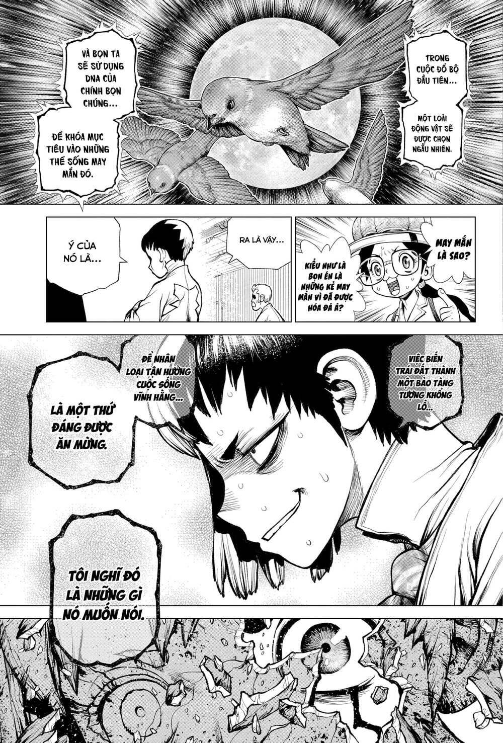 Dr.stone - Hồi Sinh Thế Giới: Chapter 229
