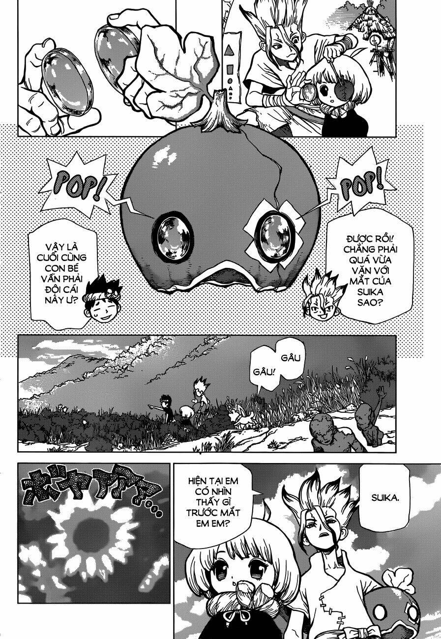 Dr.stone - Hồi Sinh Thế Giới: Chapter 28