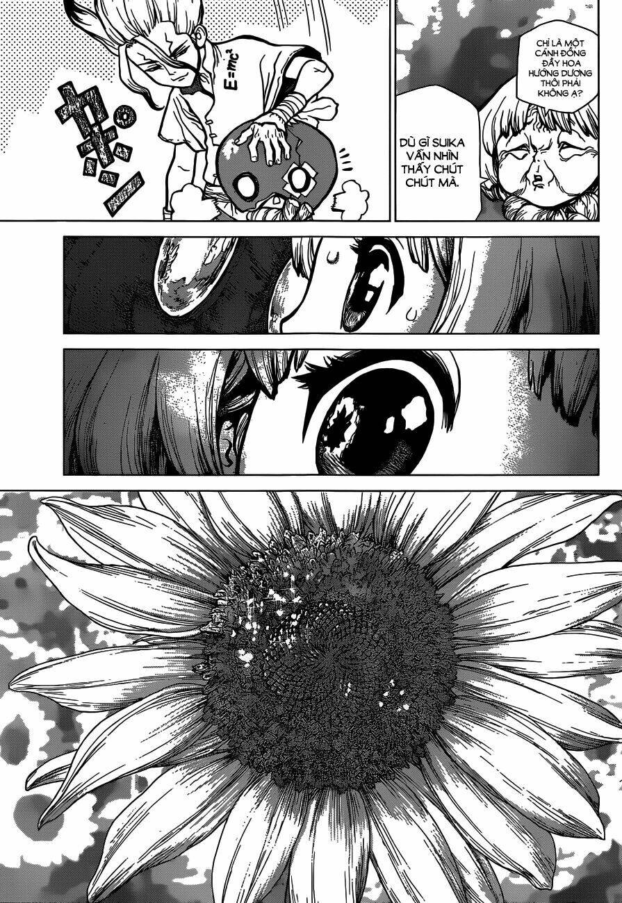 Dr.stone - Hồi Sinh Thế Giới: Chapter 28
