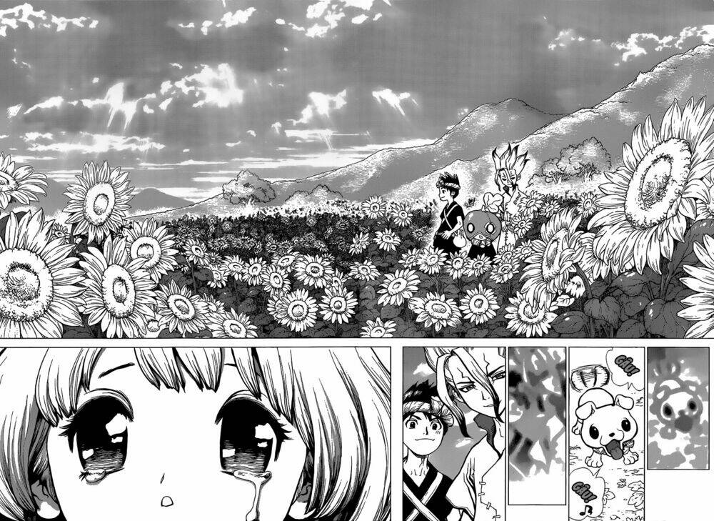 Dr.stone - Hồi Sinh Thế Giới: Chapter 28
