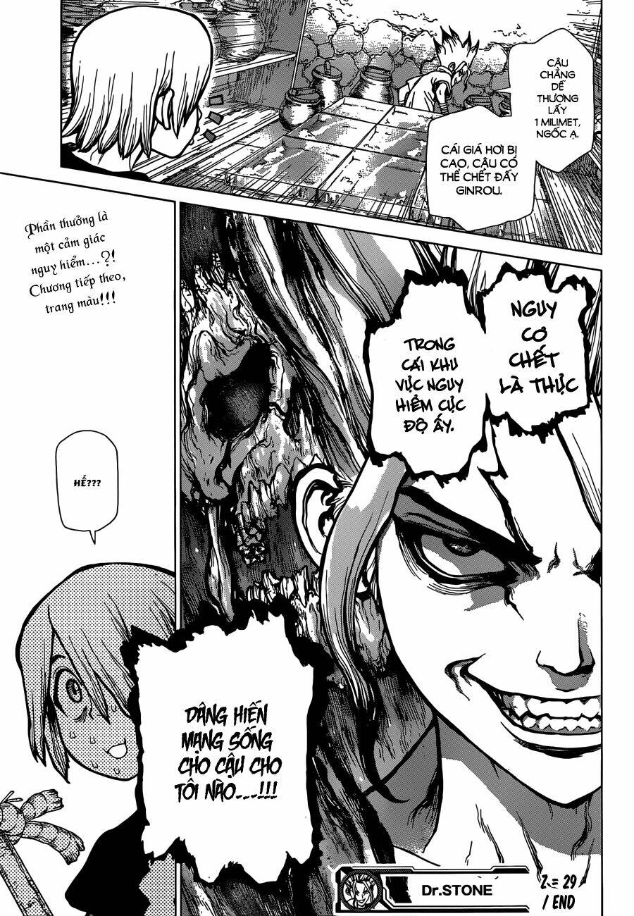 Dr.stone - Hồi Sinh Thế Giới: Chapter 29
