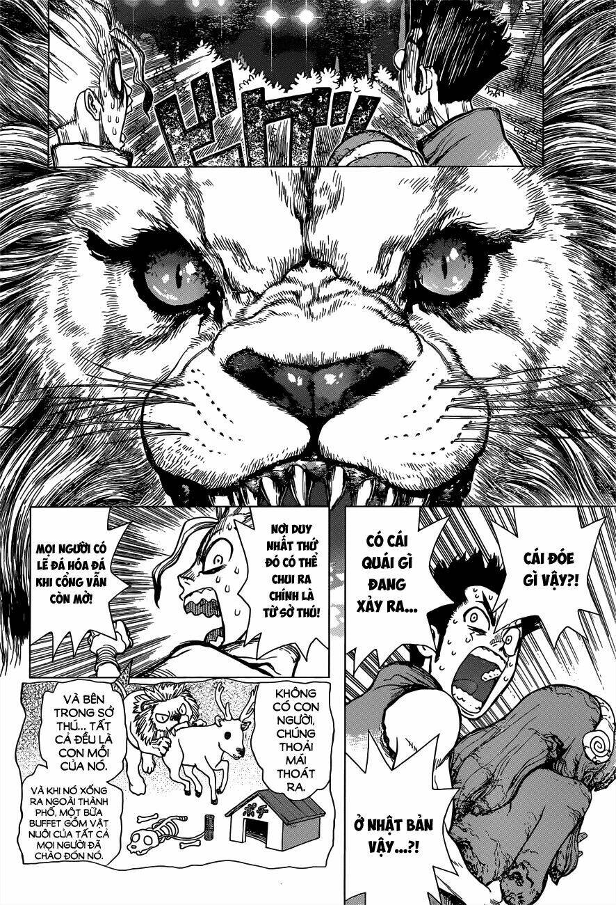 Dr.stone - Hồi Sinh Thế Giới: Chapter 3