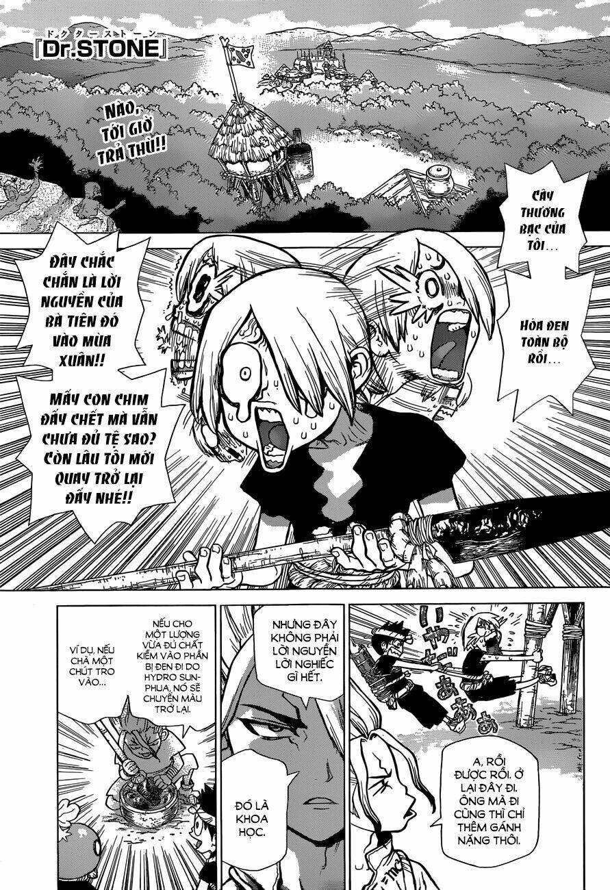 Dr.stone - Hồi Sinh Thế Giới: Chapter 32