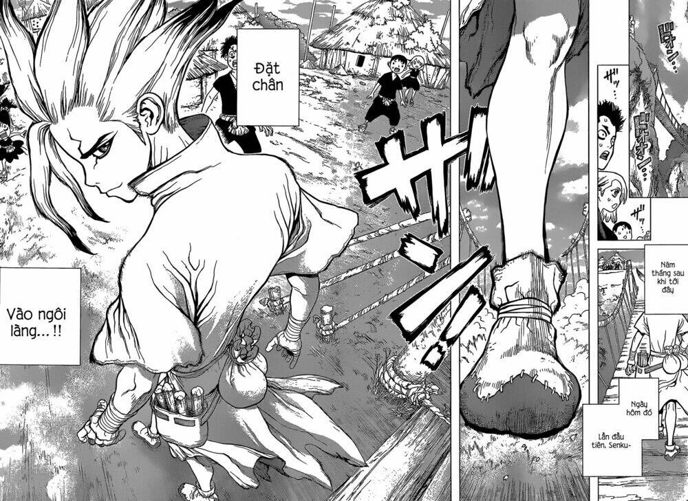 Dr.stone - Hồi Sinh Thế Giới: Chapter 33